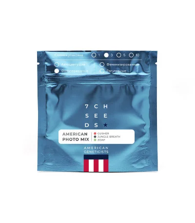 American Photo Mix fem