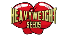 Heavyweight Seeds