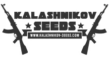 Kalashnikov Seeds