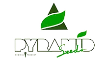 Pyramid Seeds