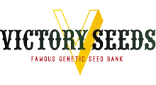 Victory Seeds