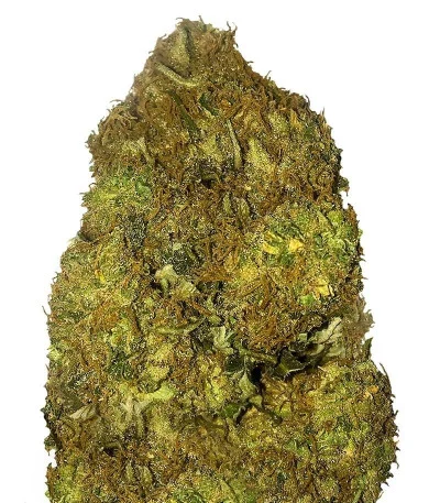 Skunky Monkey Auto fem